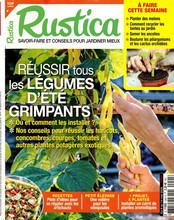 Rustica